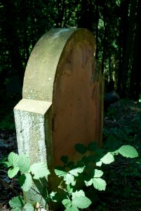 Jüdischer Friedhof Cramberg 9