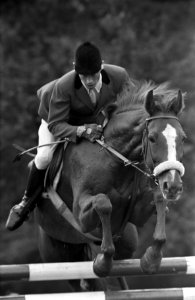 J.O. Johansson in actie op het paard Shalimar, Bestanddeelnr 921-6370