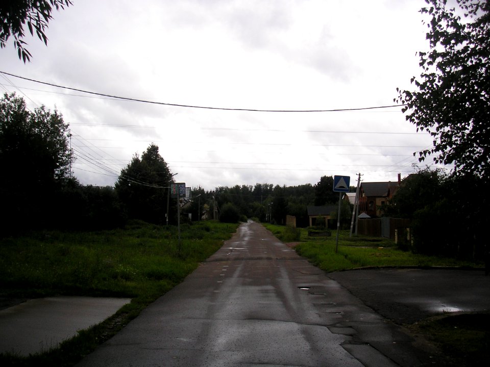 Ivanovskoe (Istra district) 5
