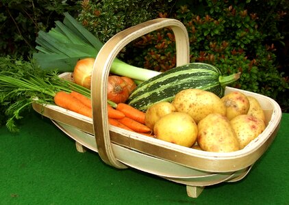 Traditional trug garden basket by trugmakers co