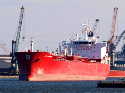 Iver Progress IMO 9350642 at Antwerp
