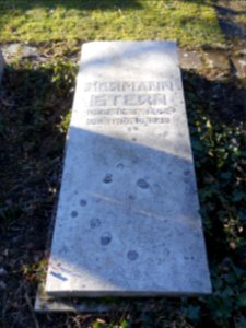 Jüdischer Friedhof Arnstadt 17