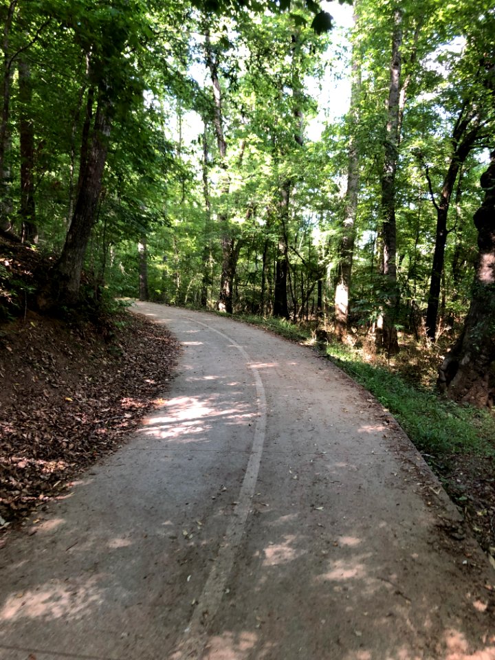 Ivy Creek Greenway, George Pierce Park, May 2021