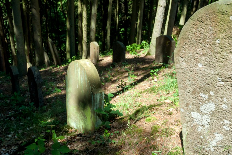 Jüdischer Friedhof Cramberg 8