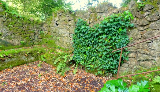 Ivy on ruins - Torrecchia Vecchia - Cisterna di Latina, Italy - DSC03345