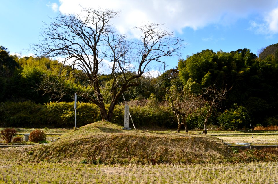 Iyo Kokubun-niji-ato, tou-ato