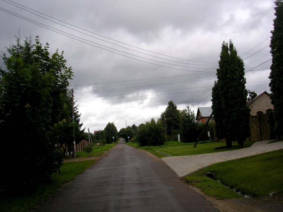 Ivanovskoe (Istra district) 3