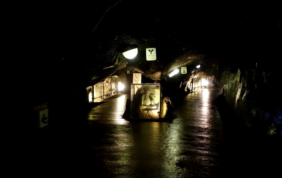 Iwaya Caves - Enoshima, Japan - DSC07919