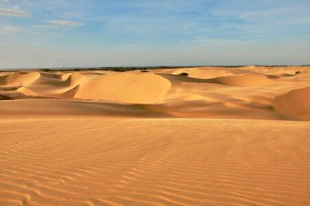 Falcon landscape medanos