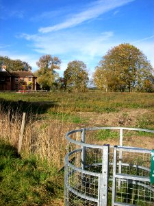Ivychurch, field to east of churchyard