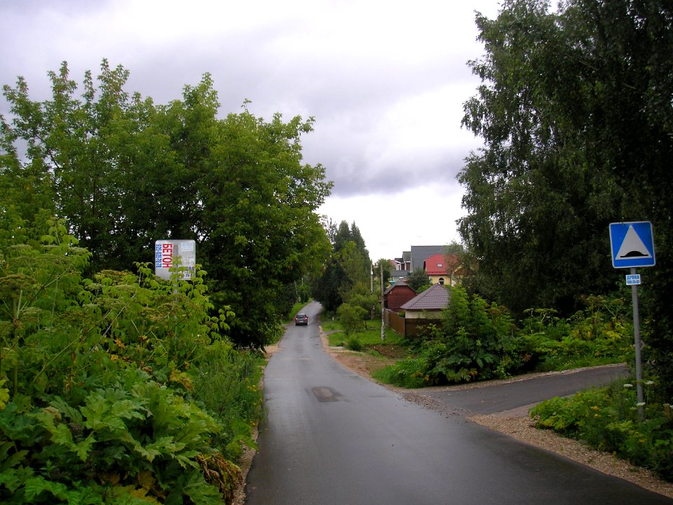 Ivanovskoe (Istra district) 1