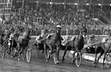 J. Wagenaar jr (rechts) tijdens de vierdraverij, Bestanddeelnr 921-7246