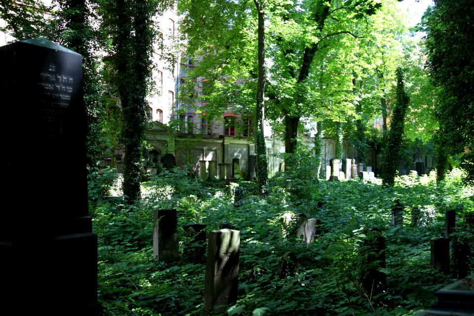Jüdischer Friedhof Schönhauser Allee Old and New