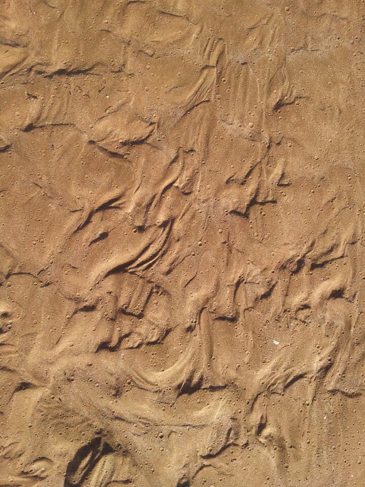 Texture sand beach