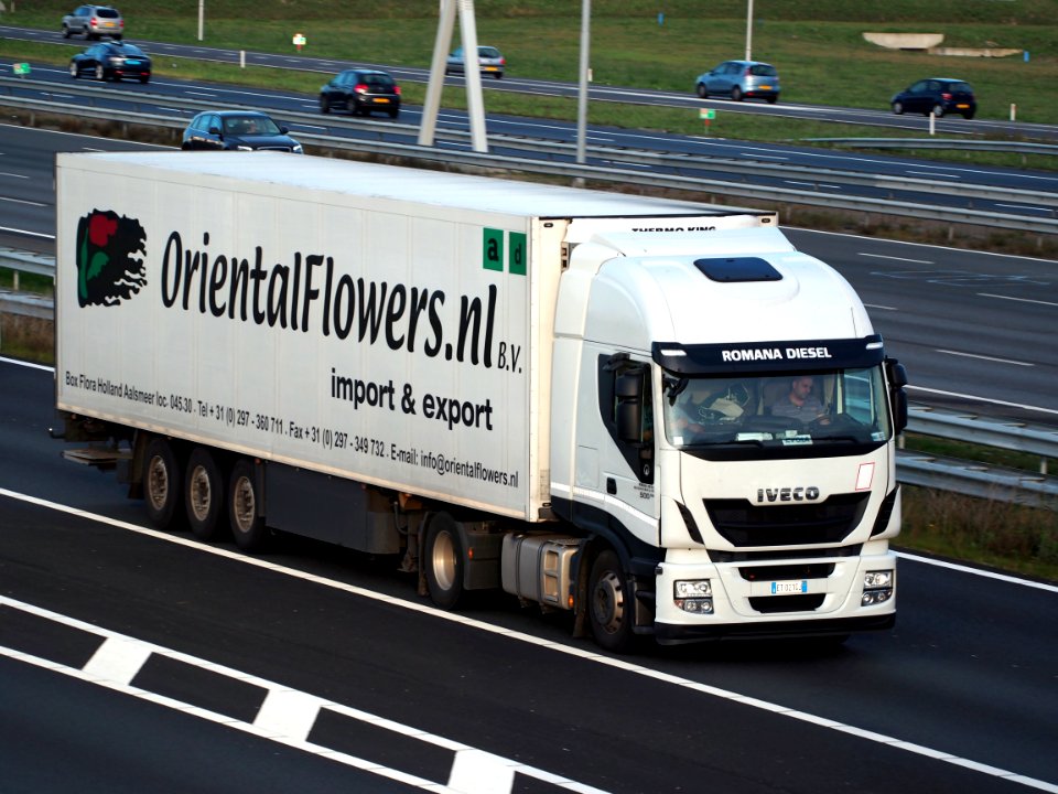 IVECO 500, OrientalFlowers