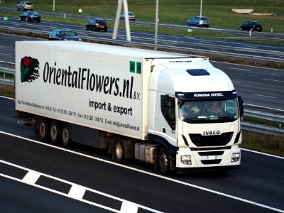 IVECO 500, OrientalFlowers