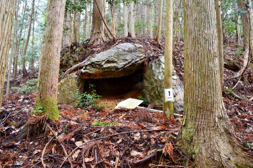 Iwaiyama Kofun Group (Sasayama)-1, funkyu
