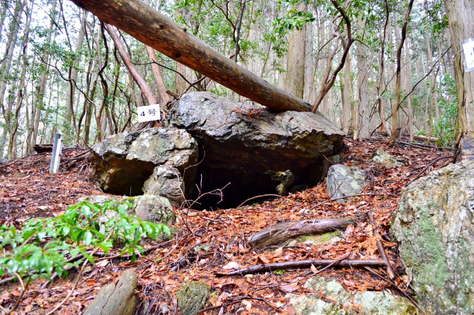 Iwaiyama Kofun Group (Sasayama)-4, funkyu