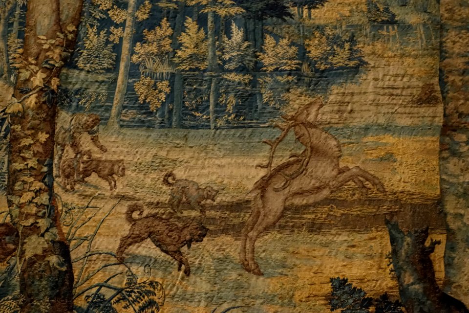 Jachten van Maximiliaan 17