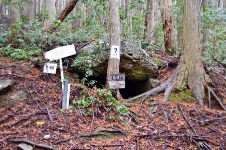 Iwaiyama Kofun Group (Sasayama)-7, funkyu
