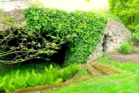 Ivy on ruins - Torrecchia Vecchia - Cisterna di Latina, Italy - DSC03419