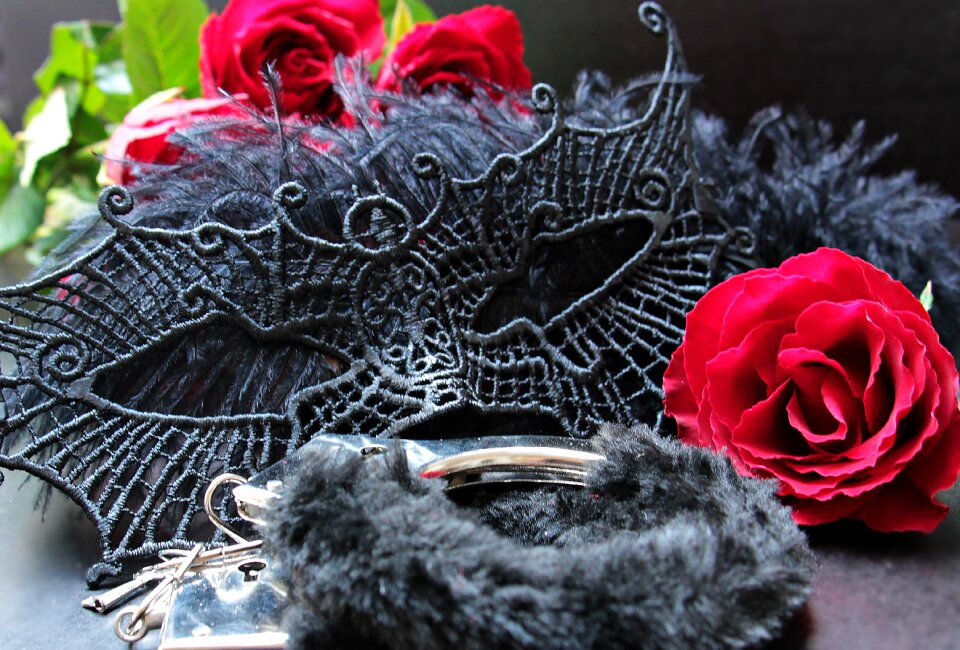 Red roses red black