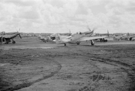 Jachtvliegtuigen. P-51 Mustang, Bestanddeelnr 194-3-6