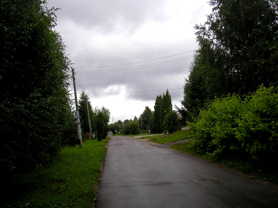 Ivanovskoe (Istra district) 2