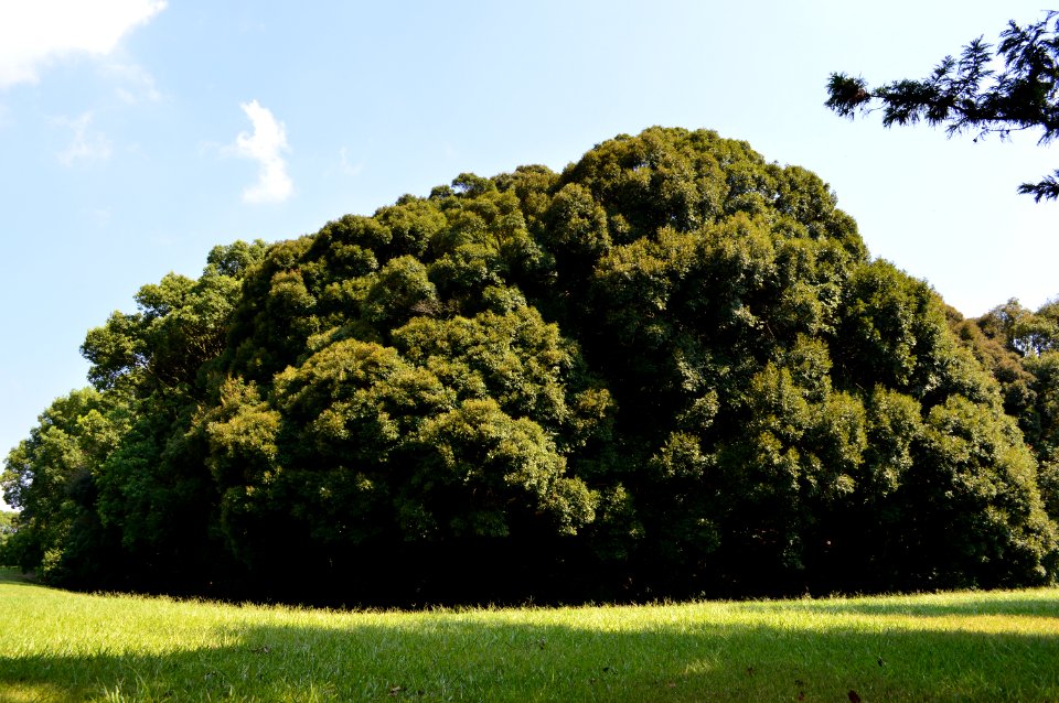 Iwatoyama-kofun zenkei
