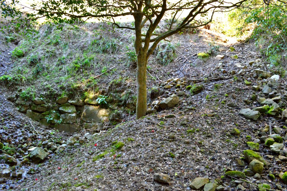 Iwaki-san Kogoishi, minami-suimon