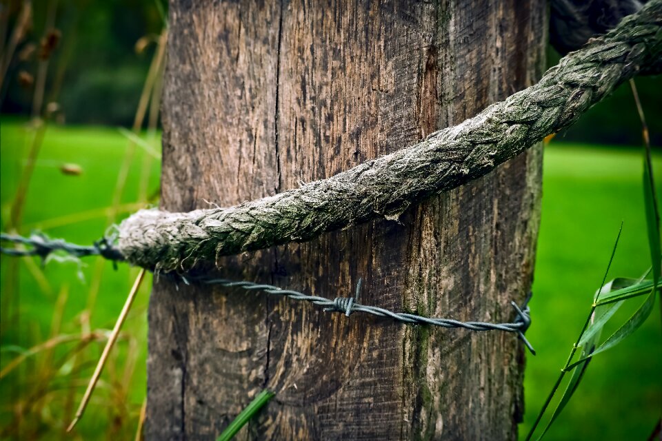 Post fence post wooden posts