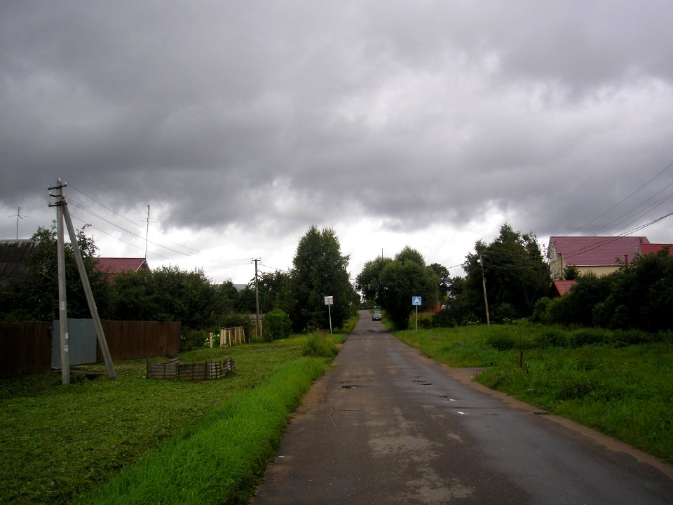 Ivanovskoe (Istra district) 4