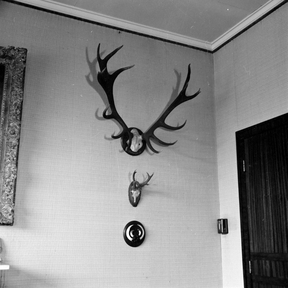 Jachttrofeeën in de werkkamer van prins Bernhard, Bestanddeelnr 255-7790