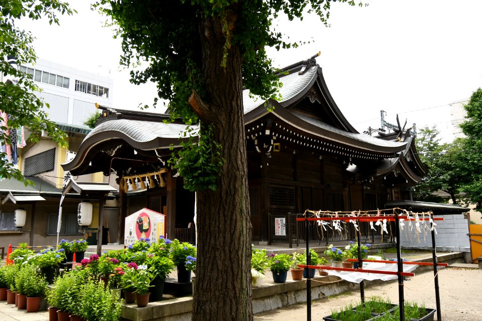 Iwai-jinja (Tokyo), shaden