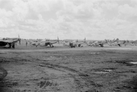 Jachtvliegtuigen. P-51 Mustang, Bestanddeelnr 194-3-4