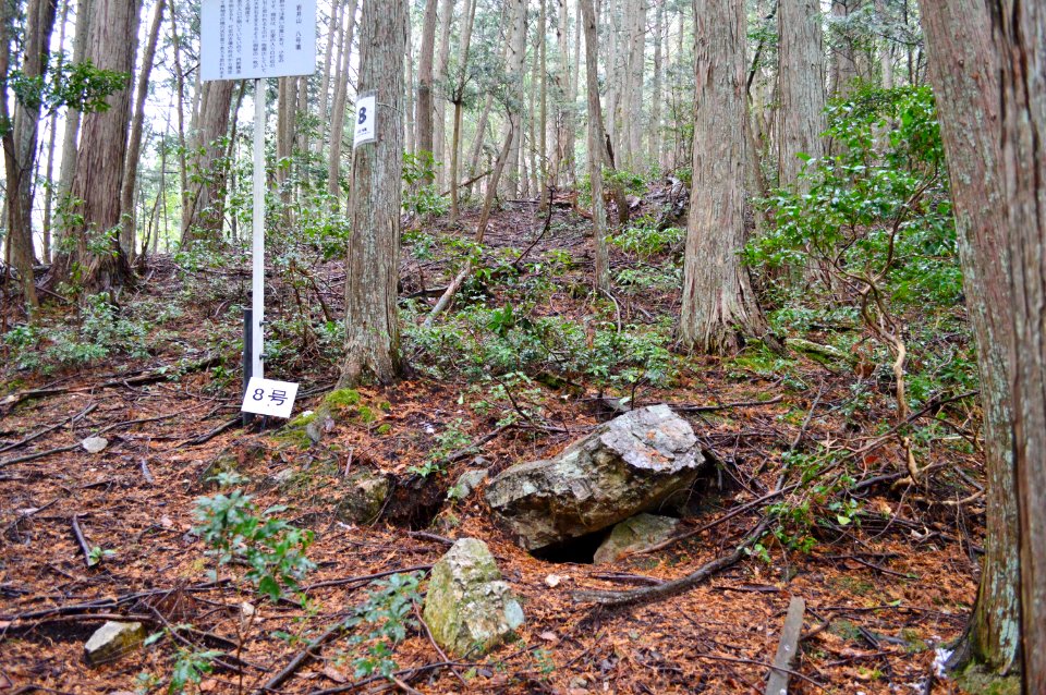 Iwaiyama Kofun Group (Sasayama)-8, funkyu