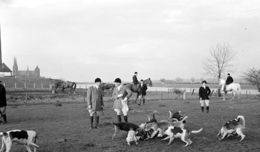 Jachtrit bij Cuyk op de Veluwe, Bestanddeelnr 908-2074