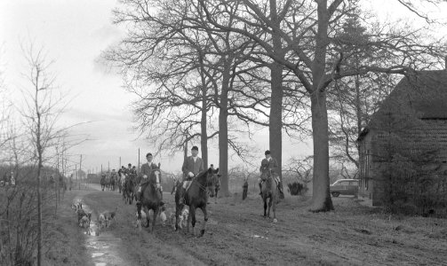 Jachtrit bij Cuyk op de Veluwe, Bestanddeelnr 908-2068