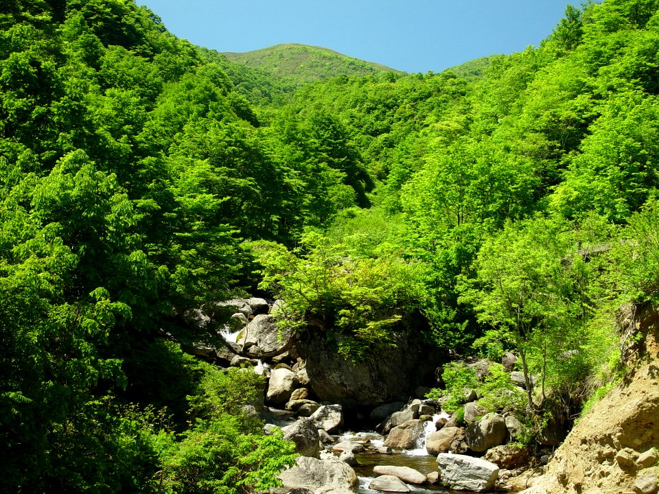Itoshiro river 2002-06-13