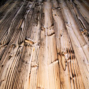 Beech fir tree material