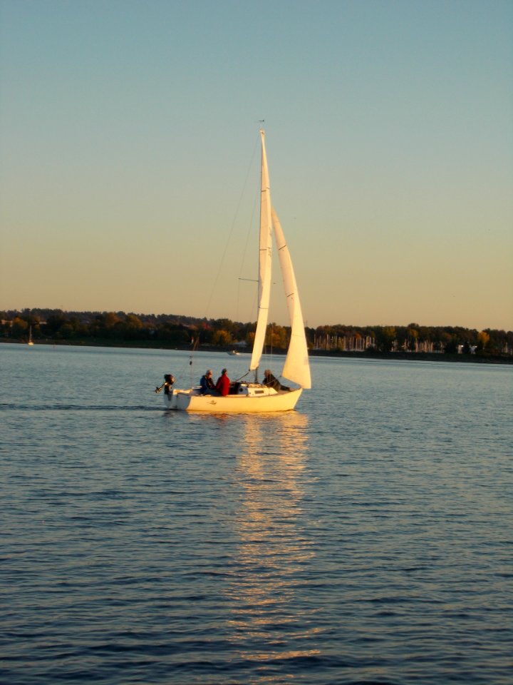 J22 Great White J 4154