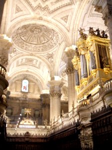 Jaén - Catedral, bóvedas 04