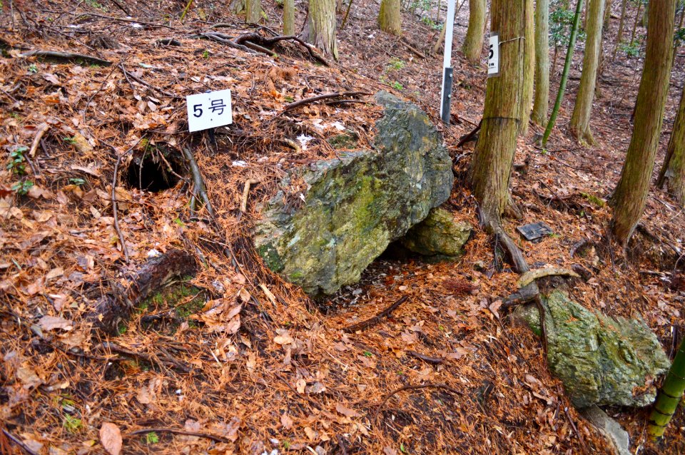 Iwaiyama Kofun Group (Sasayama)-5, funkyu