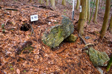 Iwaiyama Kofun Group (Sasayama)-5, funkyu
