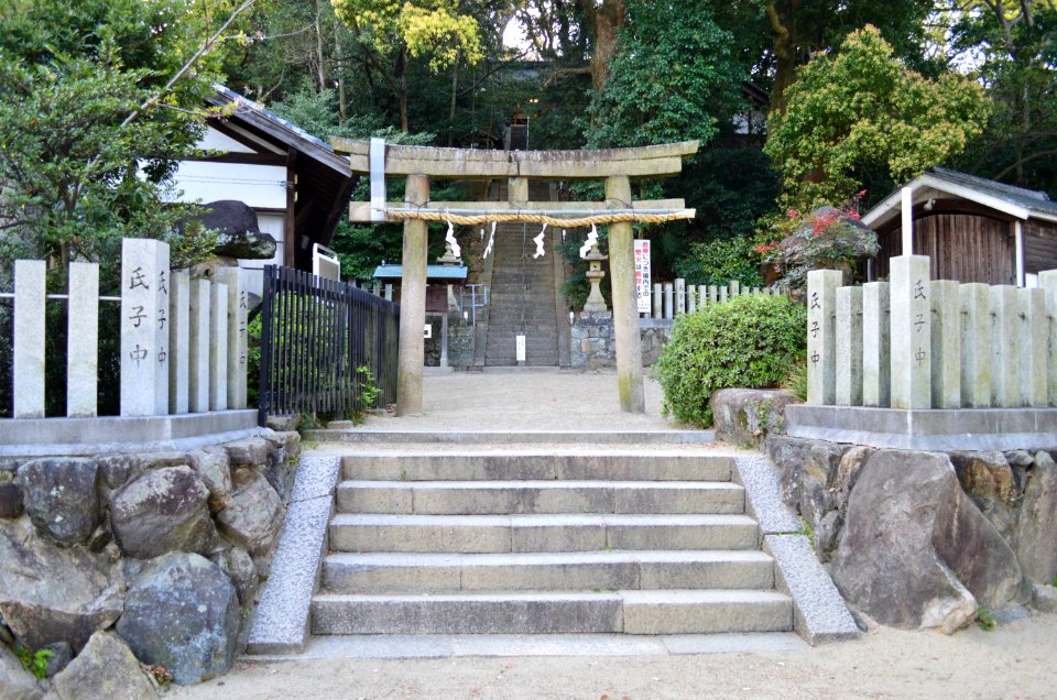 Iwa-jinja (Kashiwara), torii
