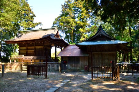 Iwaki-jinja, shaden