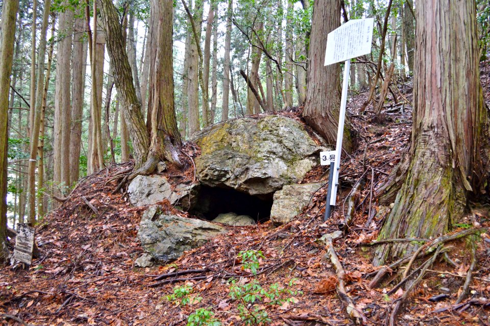Iwaiyama Kofun Group (Sasayama)-3, funkyu