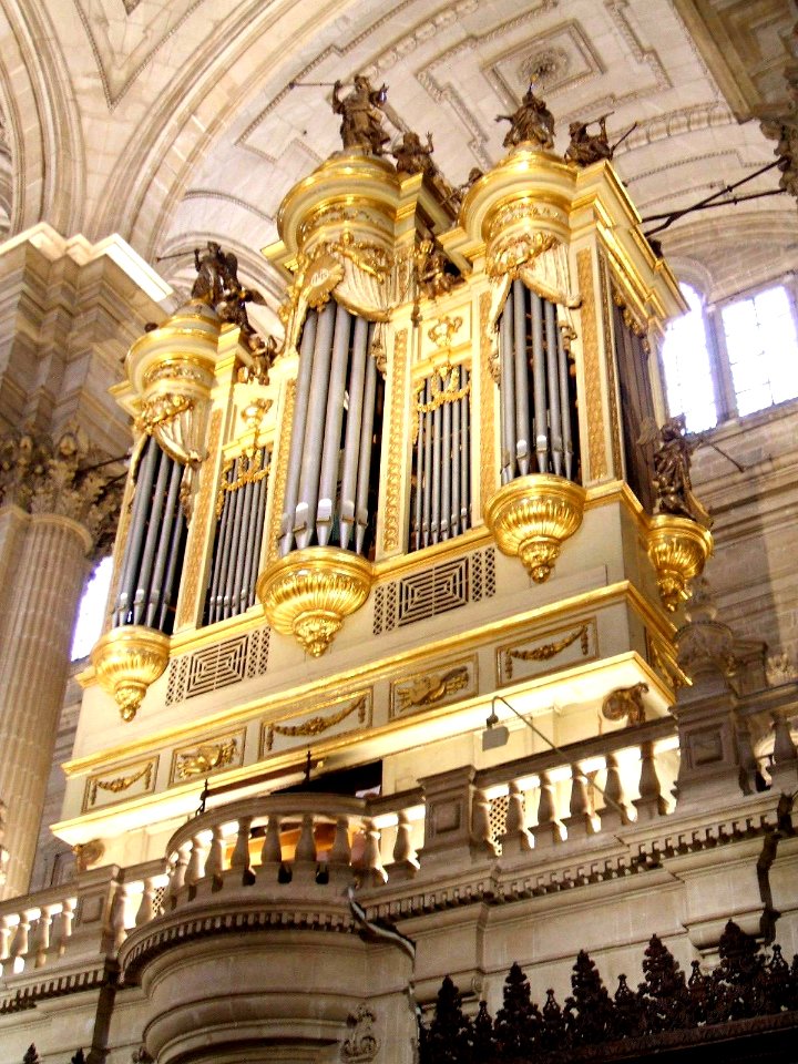 Jaén - Catedral, órgano 5