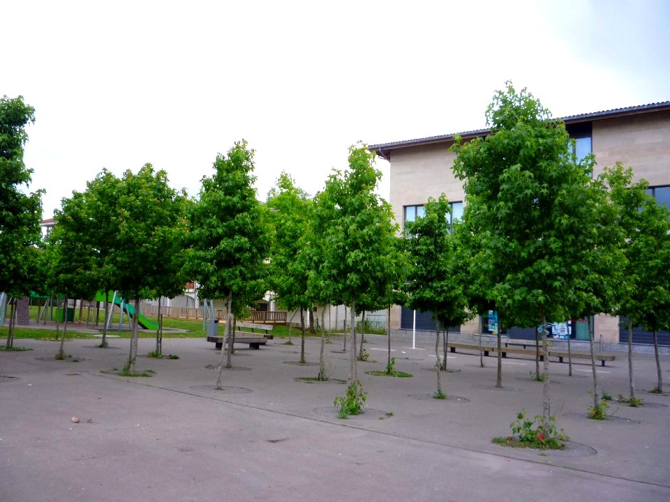 Izarra (Urkabustaiz) 32