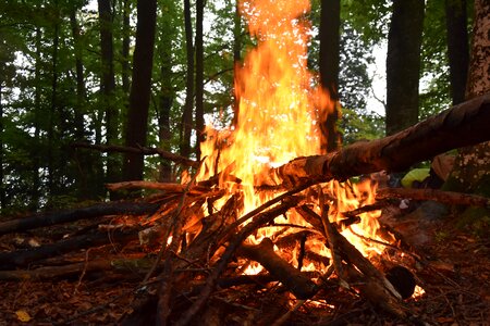 Firewood stack flame adventure